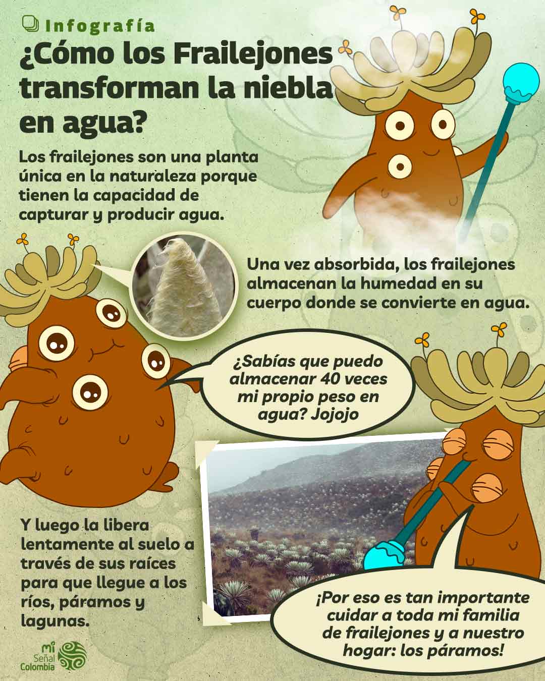 Importancia de los páramos en Colombia